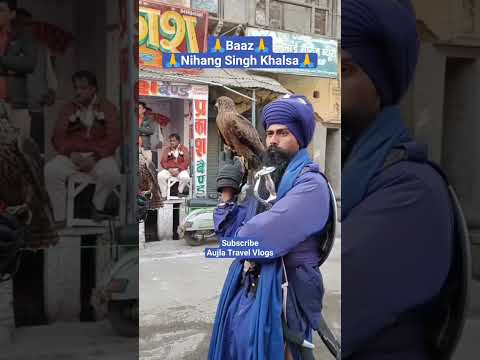 nihang singh videos #nihanglife #baazwithnihang #96crori #budhadal #nihangsingh #shorts #viralvideo