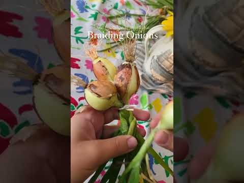 How to Braid Onions (no matter their size) 🧅