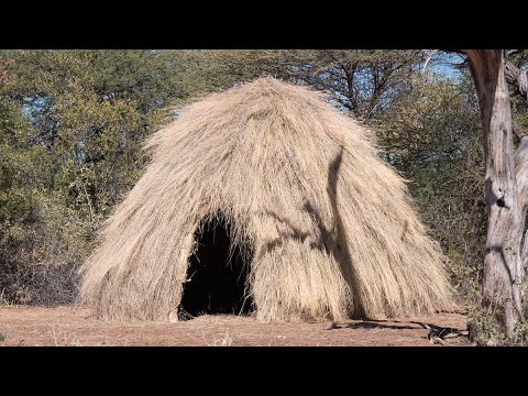 Was this the First House that Appeared on Earth? San Bushmen of the Kalahari