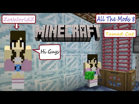 MINECRAFT - Pets Cat & Dog & Decorates Home & Crafting - 2