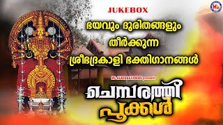 ഭയവും ദുരിതങ്ങളും തീർക്കുന്ന ശ്രീ ഭദ്രകാളി ഭക്തിഗാനങ്ങൾ| Devi Devotional Songs Malayalam |Devi Songs