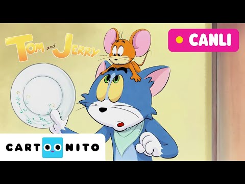 🔴 CANLI 🔴 TOM VE JERRY | KOMİK MACERALAR | @CartoonitoTurkiye