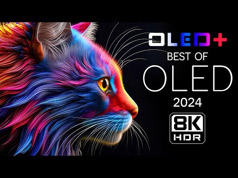 BEST OLED TEST - Outstanding Vision in 8K HDR | Dolby Vision™