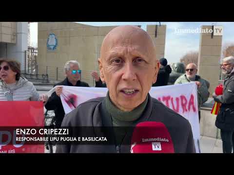 "BASTA PALE EOLICHE", SIT IN A FOGGIA