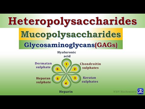 6: Heteropolysaccharides/ Glycosaminoglycans| Carbohydrates Chemistry | Biochemistry