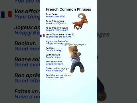 French Common Phrases Part 13 #LearnFrench #FrenchPhrases