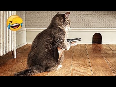 Intelligent Cats Vs Dogs Funny videos | ♥️🤣New Funny videos daily |Wait For End Part 9 #happynewyear