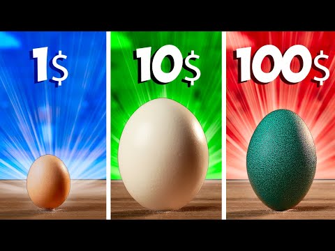 1 $ vs 10$ vs 100$ Egg