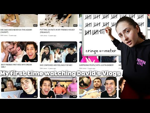 Tallying Up Every Time I Cringe in David Dobrik' Vlogs