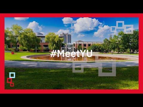 #MeetYU | Get to know the York University community!