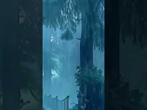 Rain sounds for sleeping |🌧️💆‍♂️😴 rain and thunder sleeping rain sounds. Relax to the sound of rain