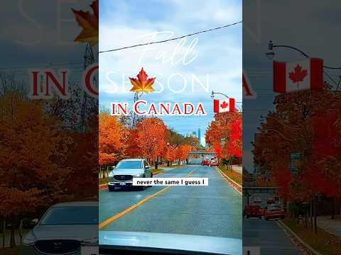 Fall season in Canada #fallseason #canada #autumncolors #fall2024