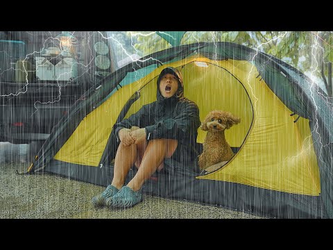 Solo Camping in Heavy Rain with My Dog . Monster Downpour . Cozy Relaxing in the Tent ASMR