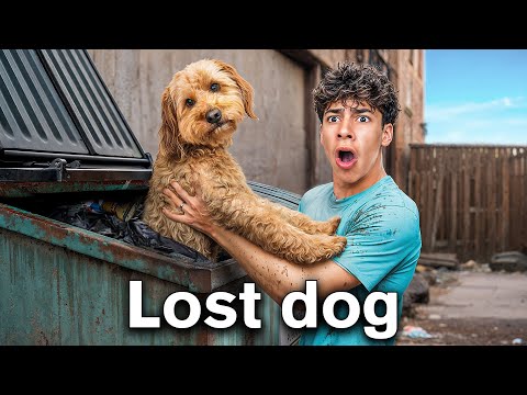 We Found a Lost Dog in a Dumpster