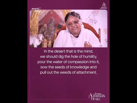 Avoiding Danger on Life’s Path  - From Amma's Heart S3 E 50