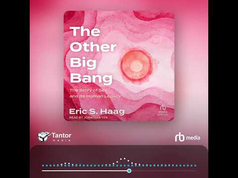 Audiobook Sample: The Other Big Bang