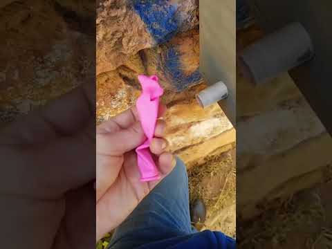 Why does this geocache give you balloons? | GeoTrek #shorts