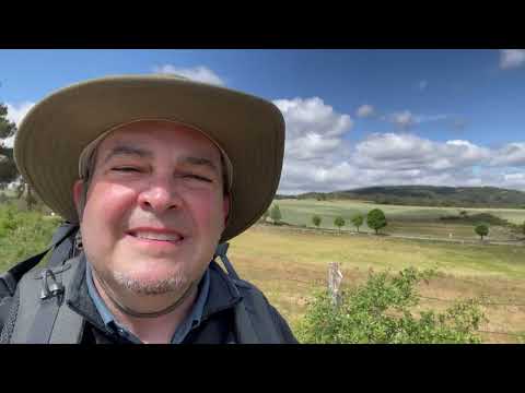 The Wind in the Field as A Wonder of Nature along the Camino in France