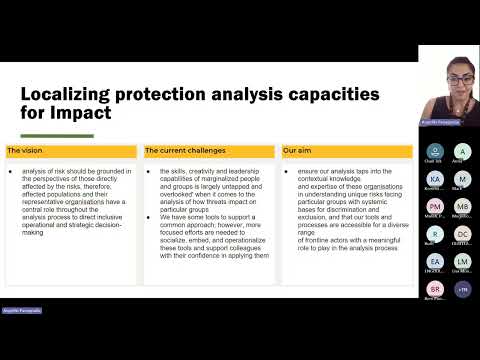 Thematic Session: Strengthening protection analysis and planning (with IRC)