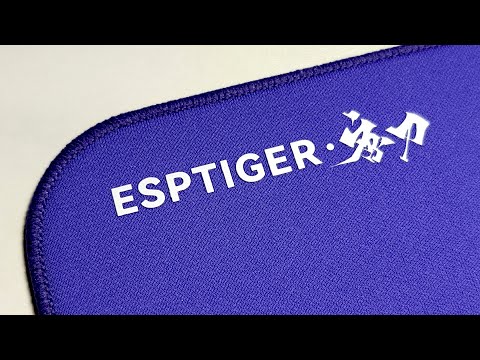 ESP Tiger Tang DAO SR | The mel0n Review Pt. II