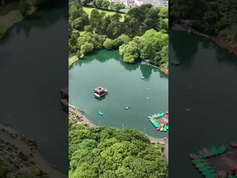 Peasholm park Scarborough #peasholm #peasholmpark #drone #djimini4pro #scarborough #yorkshire