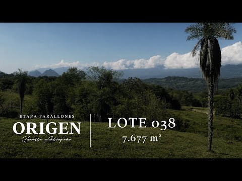 Lote 038- Origen Suroeste Antioqueño - Video 360° Etapa Farallones