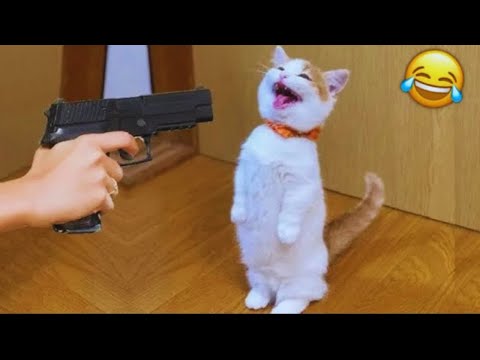 You Laugh 🤣 You Lose Funniest Pet Moments of 2024! 😋🐶😻