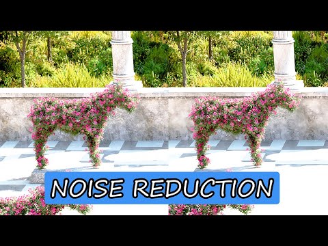 Test Noise Reduction With Neat Video - Blender Denoise