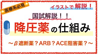 教科書をわかりやすく！「降圧薬の仕組み」〜β遮断薬で喘息禁忌なのはなぜ？ARBとは？〜