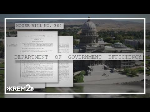 Lawmakers propose Idaho version of Department of Government Efficiency