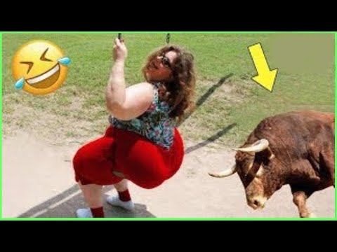 Best Funny Videos 🤣 - People Being Idiots / 🤣 Try Not To Laugh - BY Funny Dog 🏖️ #8