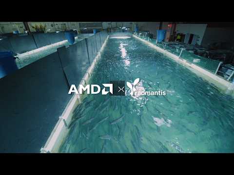 Radmantis Chooses AMD Kria SOM to Accelerate Land-Based Fish Farming with AI