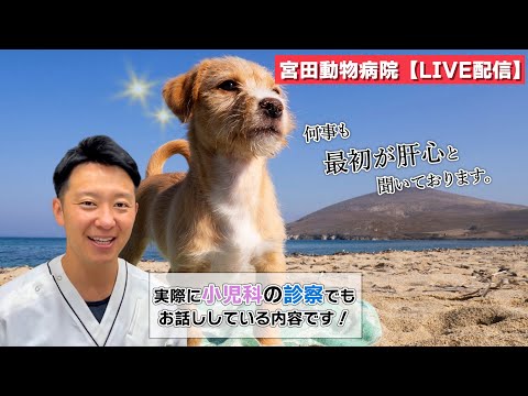 宮田動物病院 ライブ配信【MAHチャンネル】