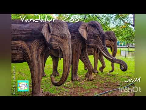 JWM | 3RdEYE Photography 028 | Vandalur zoo | Wooden Elephant | Lion | Tamil Nadu | India |Sankarji