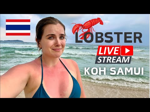 LIVE FROM THAI PARADISE | Sunburned Walking Tour of Koh Samui