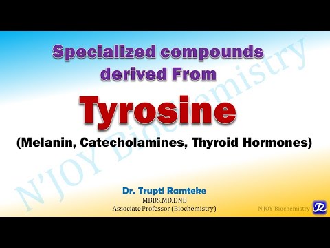 11-Specialized Compounds Derived from Tyrosine |Amino Acid Metabolism | Biochemistry