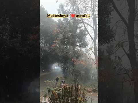 #snowfall song#nature beautiful❤status with song🎶Beautiful view of snow 🌧#uttarakhand mukteshwar#