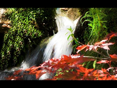 Zen Garden Waterfalls- Relaxation, Meditation, Mindfulness, Healing,