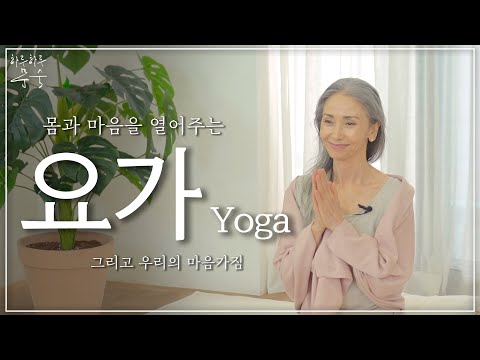 몸을 열어주는 봄 요가와 마음가짐 🧘‍♂️