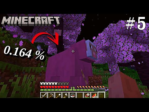 Finding the Pink Sheep in Minecraft! | Minecraft [Episode 5]