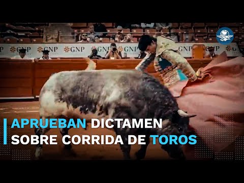 En CDMX dan aval a corridas de toros  sin violencia #EnPortada