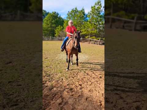 Caballo molesto por las espuelas #horse #angry #love