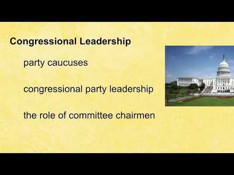 Mr. L - AG - Congressional Leadership (see description for questions)