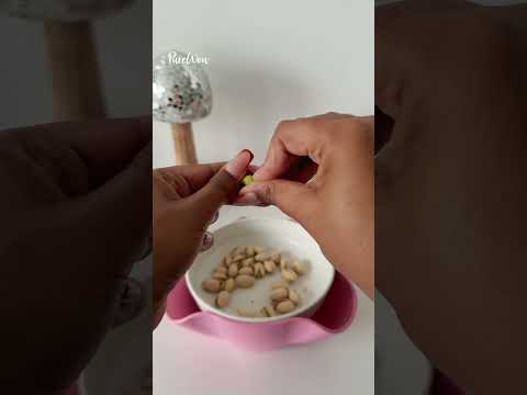 Snack Hack Gadget #snackbowl #kitchenhacks #foodhack