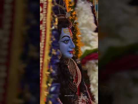 Bholenath special songs |#bholenath #shiv #mahakal #ytviral #ytshorts