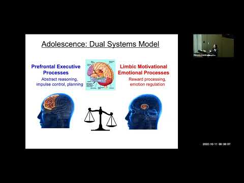 Adolescent Neurocognitive Specialization: Vulnerabilities and Opportunities