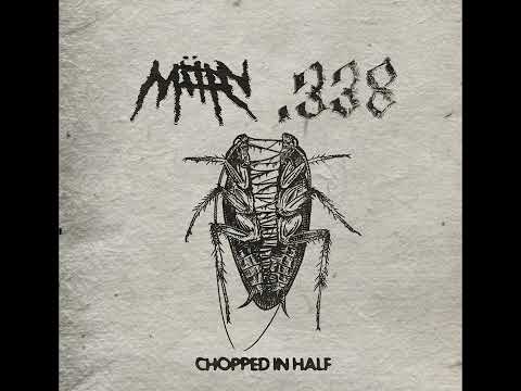 MÖRV ⁄  338   CHOPPED IN HALF   SPLIT