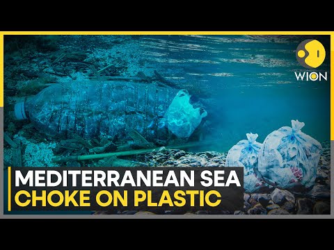 Mediterranean Sea Deepest Point Now A Plastic Dump, Plastic Waste Reaches Sea's Depths | World News