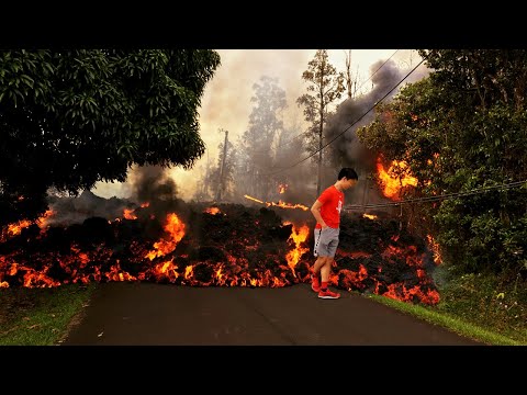 Strange Things You Will Only See in Hawaii