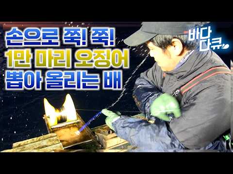 맨손으로 최대 하루 10,000마리 오징어 뽑아 올리는 배 / 잠도 못 자고 일하는 동료들 뒤로 하고 조용히 혼자 주방으로 들어가더니... / #바다다큐